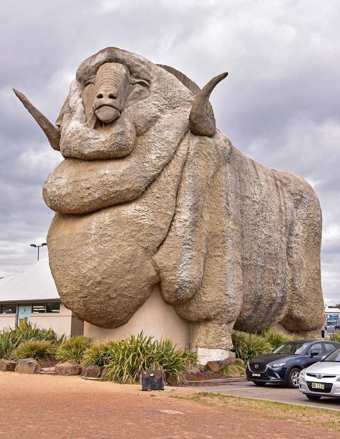 Goulburn Motor Inn Ngoại thất bức ảnh